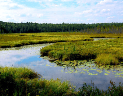 Inventaire des zones humides et Natura 2000, Mairie de Mésanger