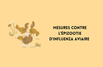 Mesures contre l&rsquo;épizootie d&rsquo;Influenza Aviaire, Mairie de Mésanger