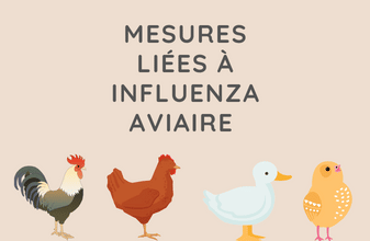 Mesures de lutte contre l’influenzia aviaire