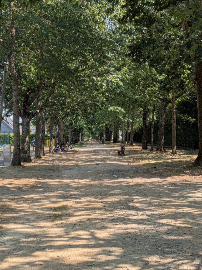 Le marché s’installe dans l’allée des Chênes, Mairie de Mésanger